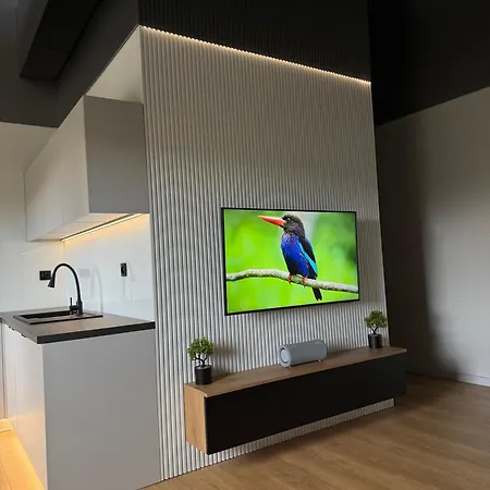 Warszawska Appartement *